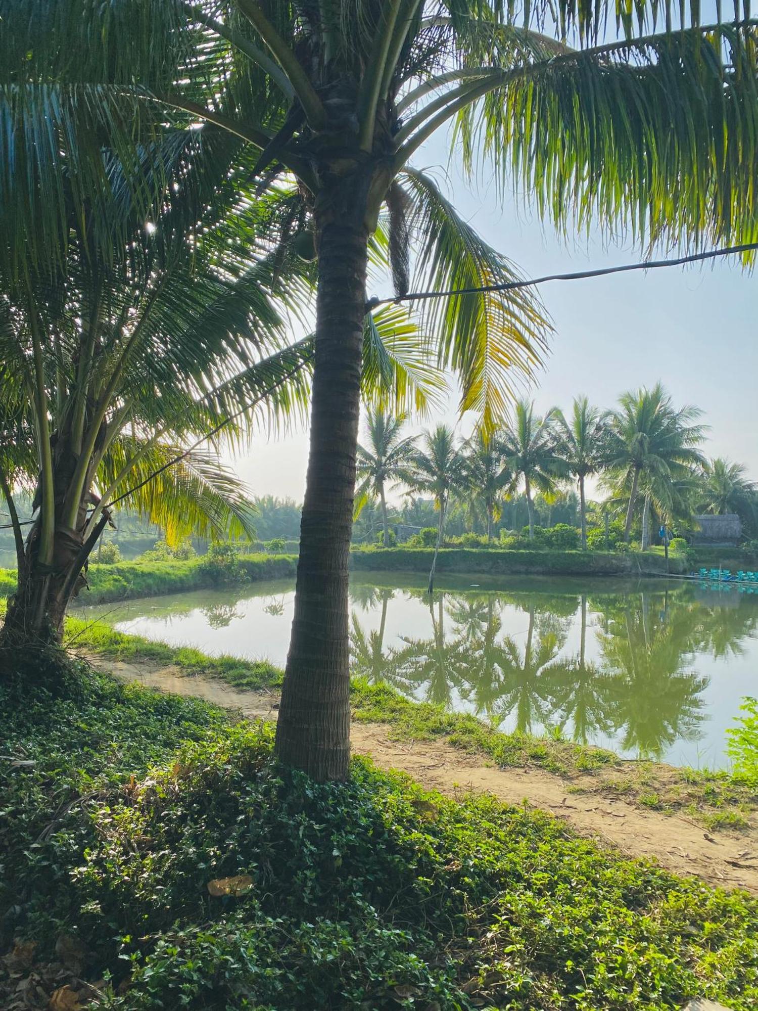 Laoxao Lakeview Homestay Hoi An Eksteriør bilde
