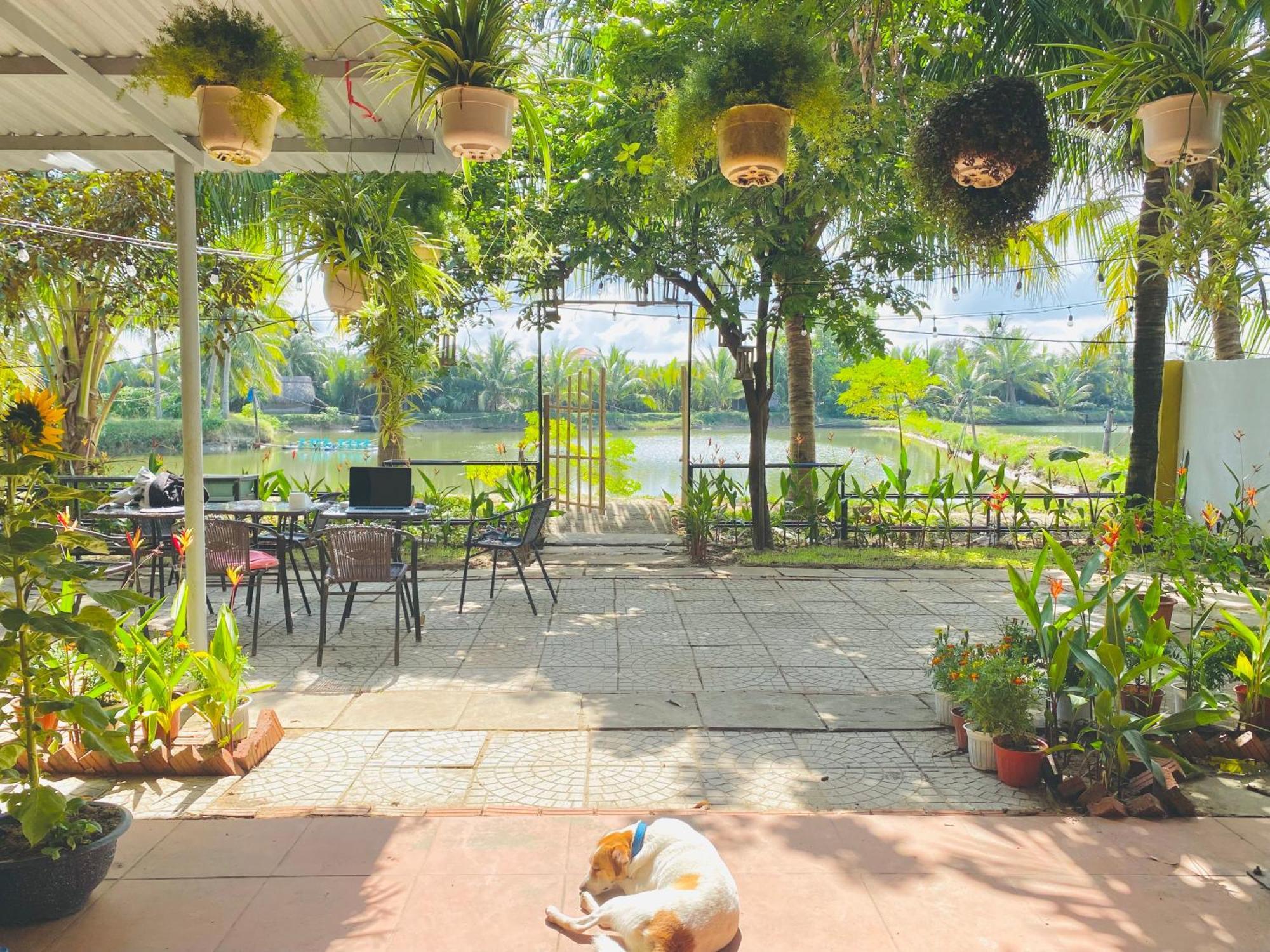 Laoxao Lakeview Homestay Hoi An Eksteriør bilde